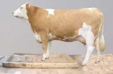 923399