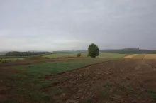 914648