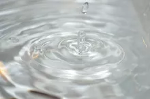 447894