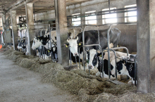 231300