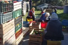 923027