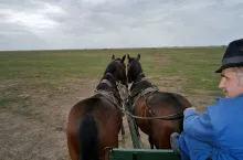 230815