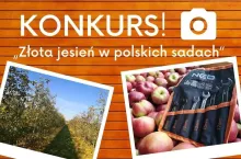 Konkurs FB ”Złota jesień w sadach”