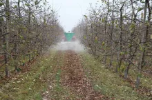 Nowe trendy w nawożeniu i ochronie upraw sadowniczych