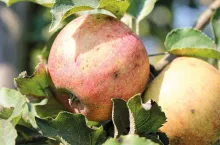 Podsumowania i refleksje