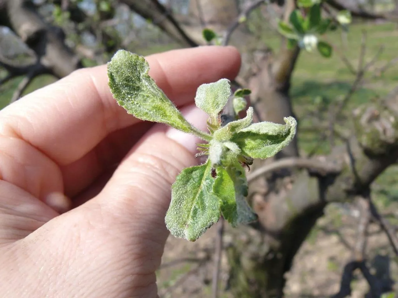 Dobrze rozpocząć sezon