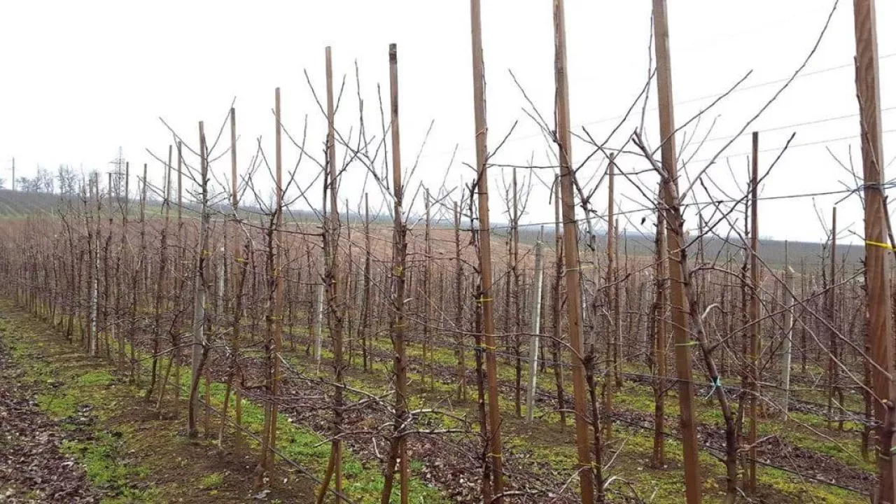 Zmiany za wschodnią granicą