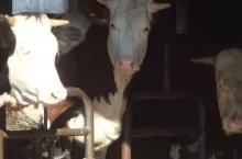 922849
