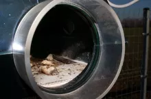 713824