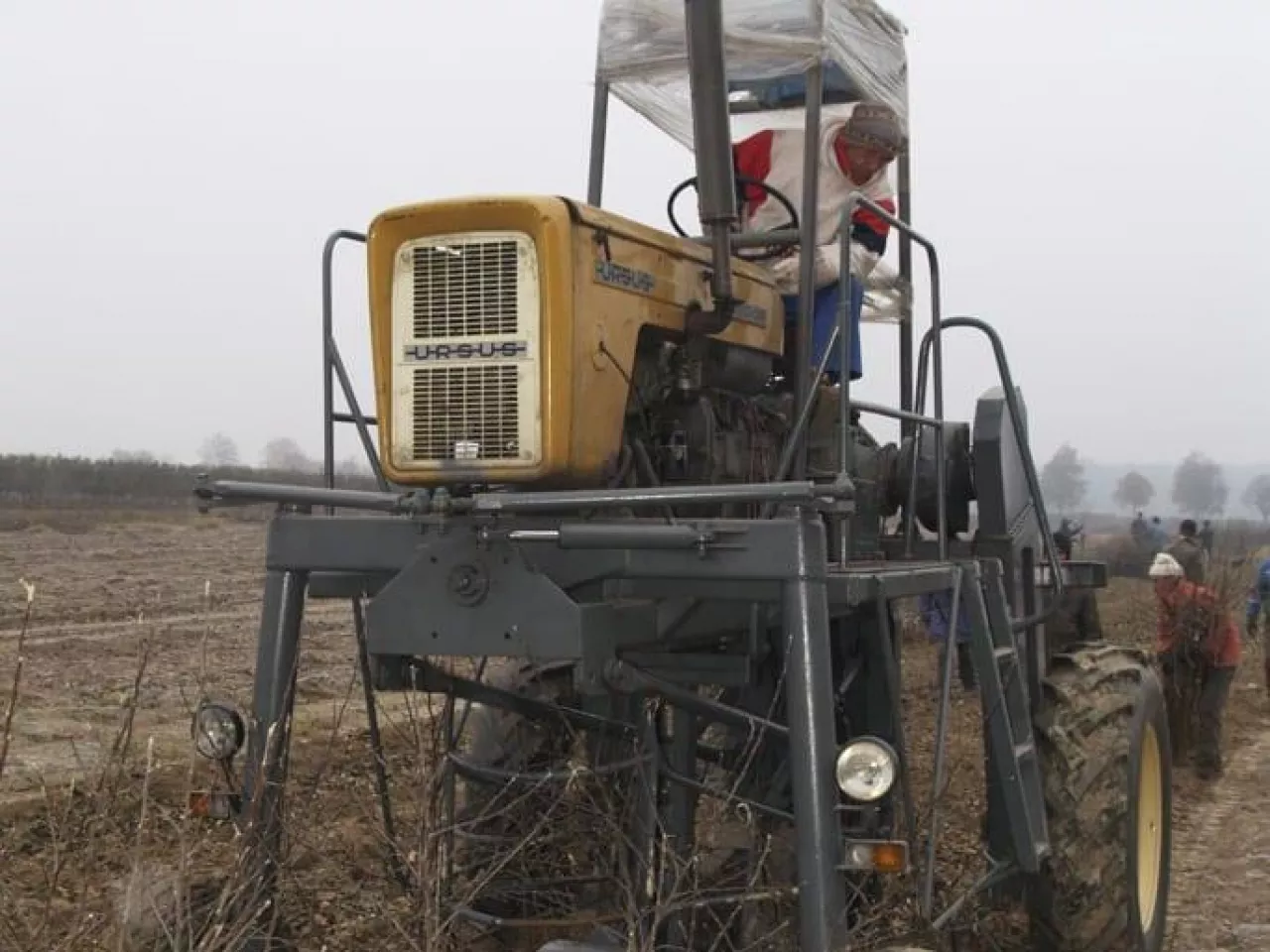 OLYMPUS DIGITAL CAMERA