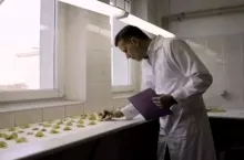 230309