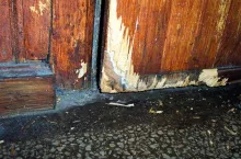 Uszkodzone przez szczury drzwi drewniane