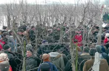 Sadownicy uczestniczący w pokazie cięcia jabłoni