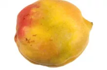 Objawy wywoływane przez PPV na owocach moreli