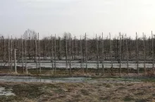 Dopłaty a zaleganie wody