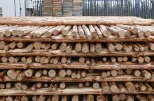 Suszenie palików drewnianych