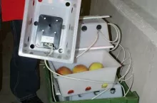 Zestaw do monitorowania niskotlenowego stresu jabłek na podstawie pomiarów fluorescencji chlorofilu