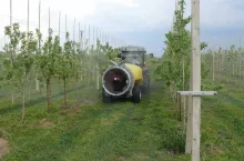 P.P.H.U. ”A.R. Chmielewski” z Kleczanowa