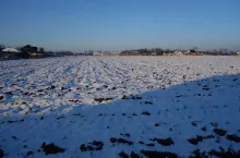Uprawy rolne zimą
