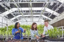 Bayer Crop Science stellt die neuesten Fortschritte bei Innovationen vor, die durch die Zusammenarbeit von Wissenschaftlern innerhalb und außerhalb des Unternehmens entstanden sind.
---------------------------------------------------------------------------- 
Bayer Crop Science highlights the latest advancements of innovation through its collaborations with scientific experts inside and outside of the company.