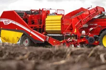 Grimme