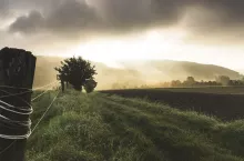 229527