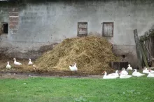 914668