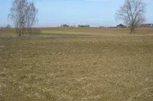 pole