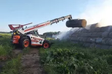 bobcat słoma