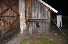 445233