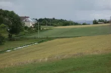 921548