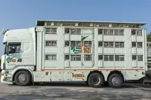 445096