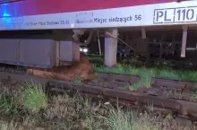 228765
