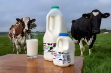 444848