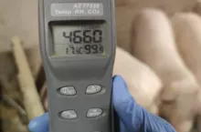 444728