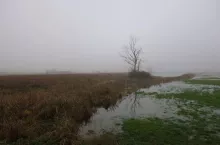 920979