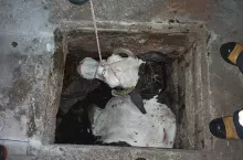 228260