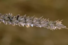 920626