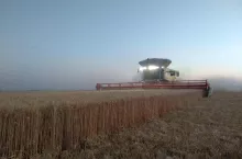920638