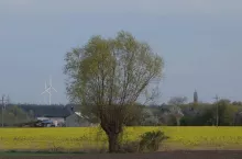 920511