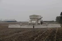 443994