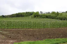 227639