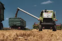 227394