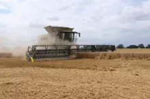 443618
