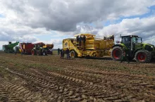 795454