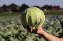 711272