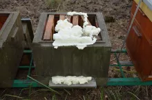 226593