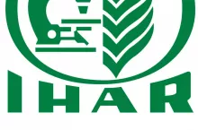 443253