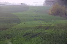 443170