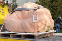 225953